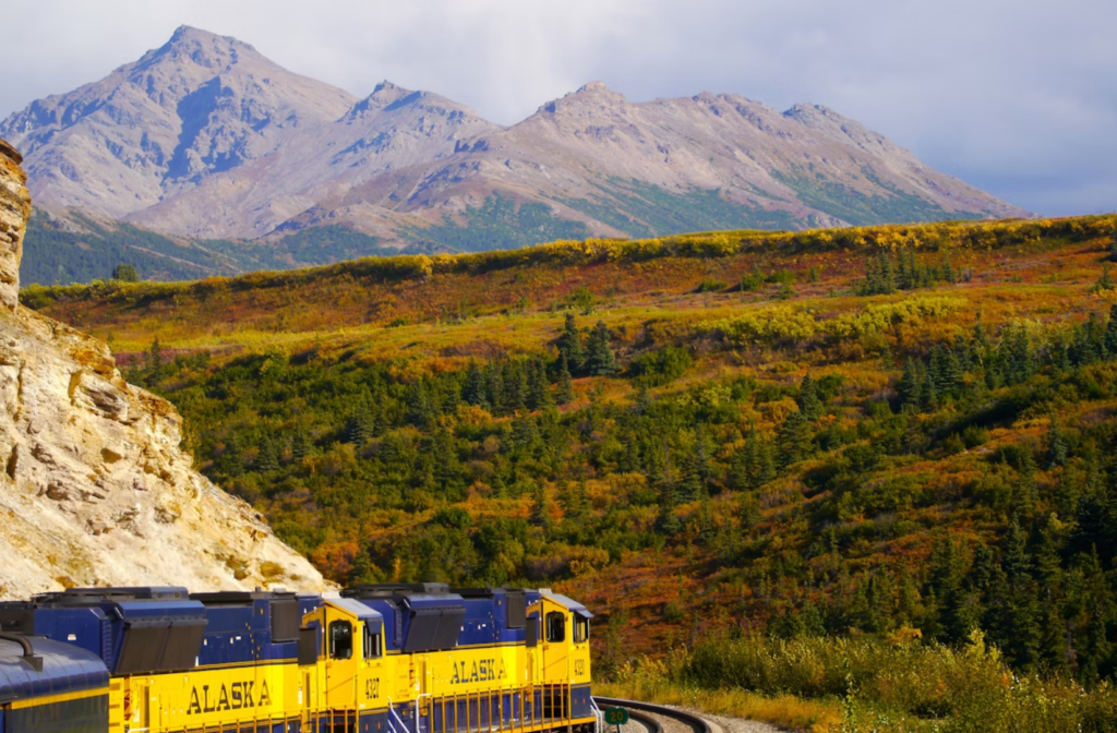 Alaskan train bound to Denali with spruce, birch trees, and the mountainous terrain in the background.