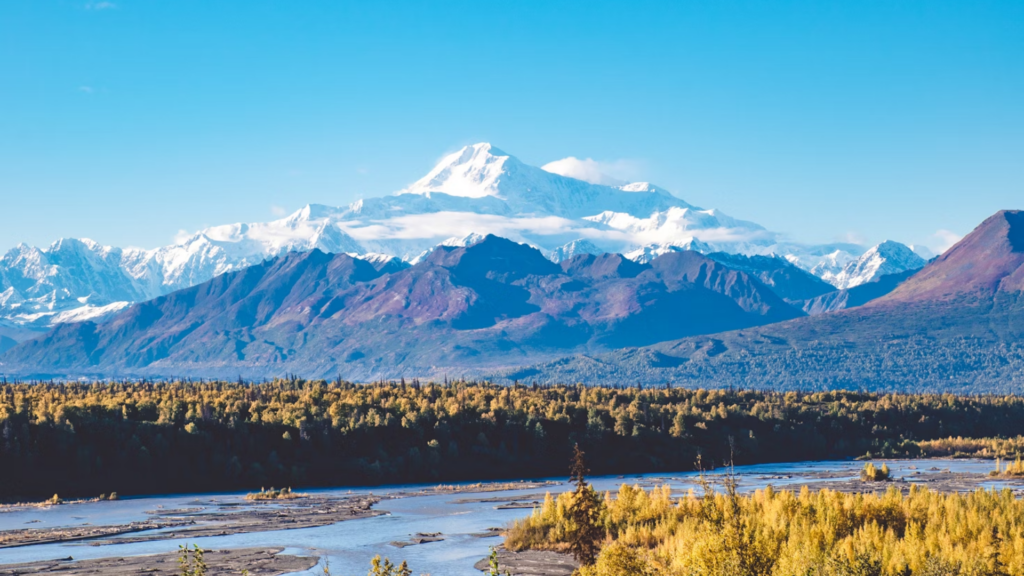 Denali Park view showcasing the diverse landscape in Alaska from snow-capped mountains to dense forests. 