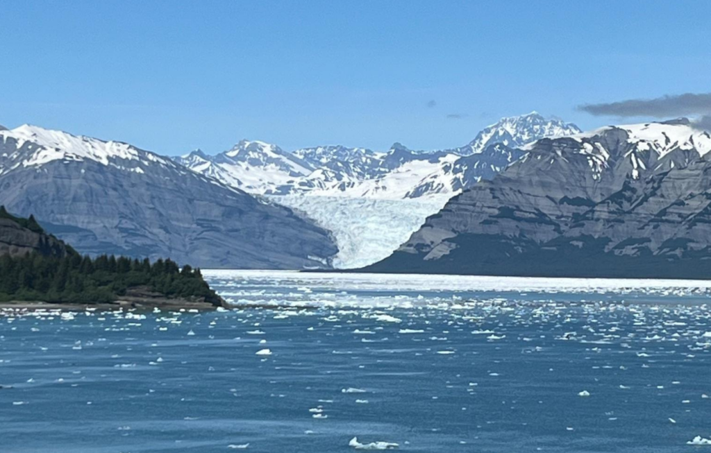 Glacier Bay from Holland America Koningsdam in August 2023.